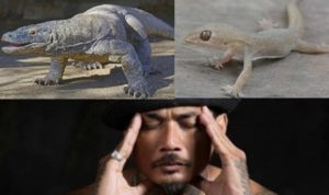 Jerinx SID, Cicak Kecil yang Klaim Diri Komodo