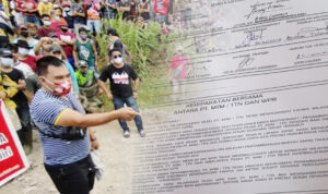PT MSM Siap Bongkar Ladang Emas Tatelu