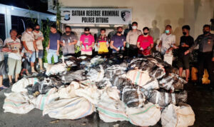 Pengiriman Ribuan Liter Cap Tikus ke Papua Terendus
