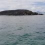 Pulau Baru di Tanimbar, Fenomena Pasca Gempa M 7,5