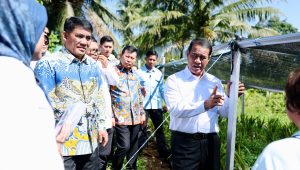 Kepemimpinan Gubernur Yulius Selvanus Dipuji Menteri Amran Sulaiman, Kementan Setujui Bantuan Bibit Jagung 15 Ribu Hektare
